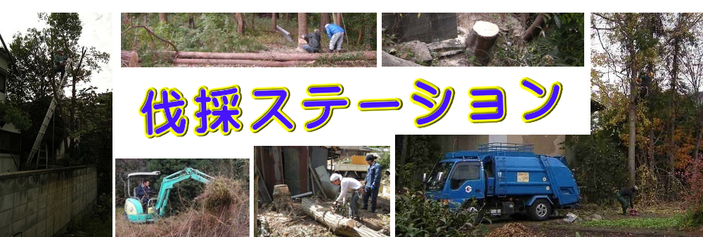 吉岡町の庭木伐採、立木枝落し、草刈りを承ります。